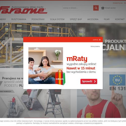 Gdańsk - rusztowanie faraone