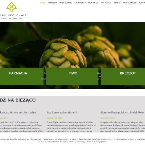 Jak warzyć piwo w domu