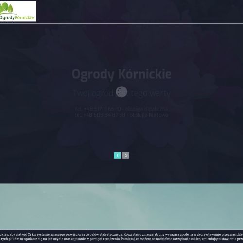 Poznań - drzewa iglaste szkółka