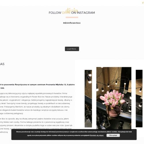 Wieczne kwiaty w Poznaniu