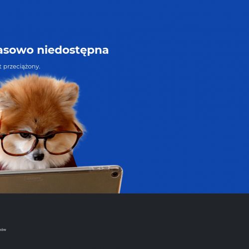 Prusaki dezynsekcja - Warszawa