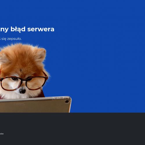 Kurs na wózki widłowe świdnica