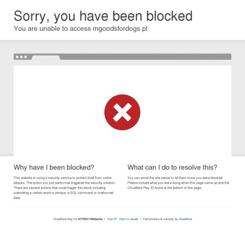 Obroża skóra naturalna