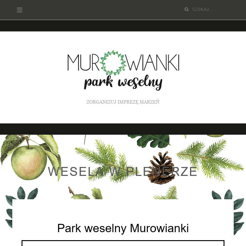 Sala na wesele wielkopolska